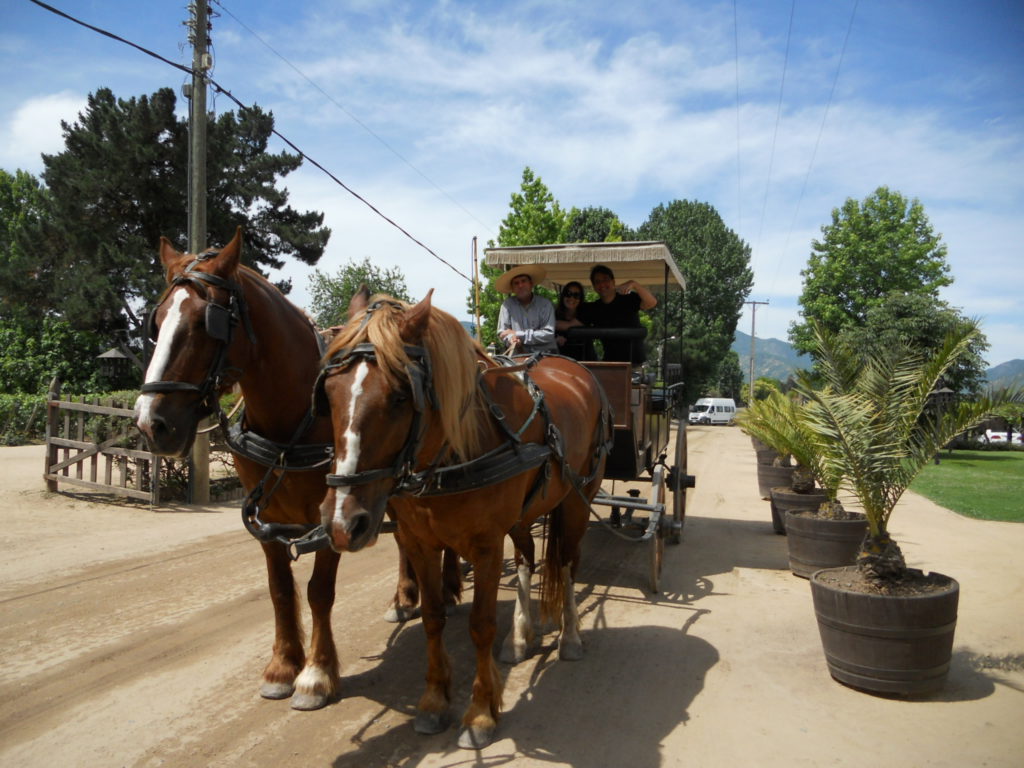 Passeio de charrete na Viu Manent